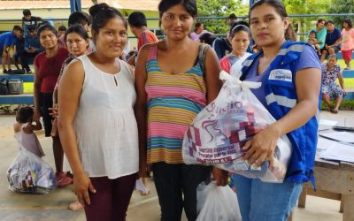 El Servicio de Desarrollo de las empresas públicas productivas SEDEM a través de sus brigadas móviles, llegó a la comunidad indígena Arenales en el municipio de San Borja , del departamento de Beni para realizar la entrega de paquetes del Subsidio Universal Prenatal por la Vida.