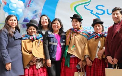 SEDEM APERTURA NUEVA AGENCIA DISTRIBUIDORA DE SUBSIDIOS EN EL DISTRITO 6, VILLA TUNARI – CIUDAD DE EL ALTO